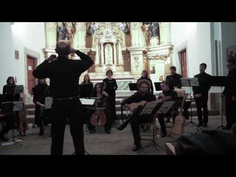 Una sañosa porfía CAMARA ANTIQVA