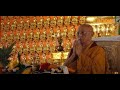 Tara Puja completed at Pal Thubten Sedubling Monastery BODHI TV