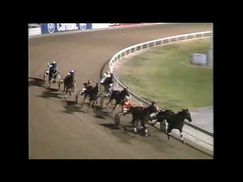 Late Bid - 1994 NSW Breeders Plate