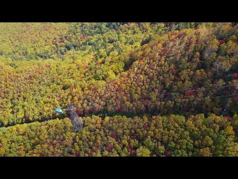 1名様から催行 札幌発 黒岳紅葉散策と層雲峡温泉日帰りバスツアー 大雪山国立公園内の黒岳ロープウェイで日本で一番早い紅葉の絶景を満喫 9 10月 札幌発着 札幌近郊の観光 遊び 体験 レジャー専門予約サイト Veltra ベルトラ 1名様から催行 札幌発 黒岳紅葉散策と層雲峡温泉日帰りバスツアー 大雪山国立公園内の黒岳ロープウェイで日本で一番早い紅葉の絶景を満喫 9 10月 札幌発着 札幌近郊の観光 遊び 体験 レジャー専門予約サイト Veltra ベルトラ