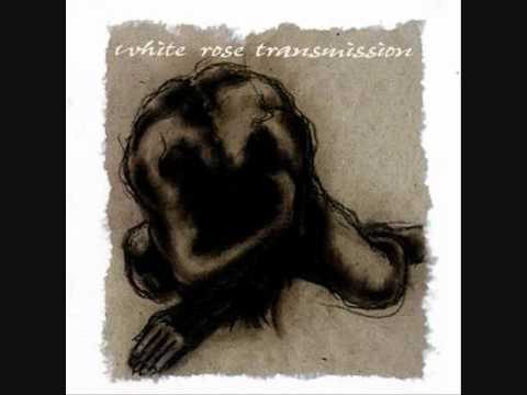 White Rose Transmission ~ In Your Hand