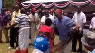 Download lagu Kilifi Governor Amason Kingi Joins a traditional Dance mp3