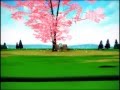 MMD Mulan Reflection Polish Verion