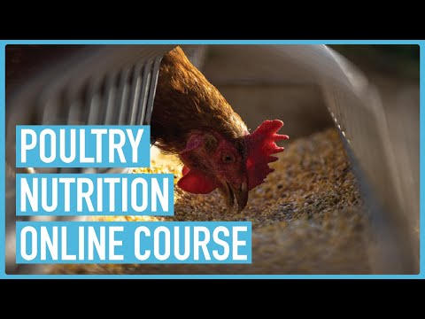 Profitable Pig Farming and Best Practices for success Course Outline