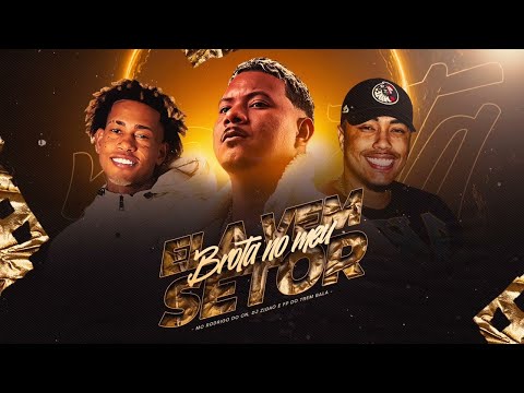 ELA VEM BROTA NO MEU SETOR - MC Rodrigo do CN (DJ Zigão e FP do Trem Bala)