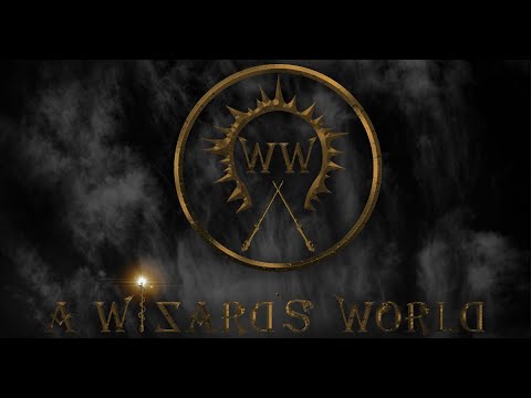 A Wizard's World