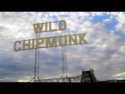 Front row point of view footage of Wild Chipmunk