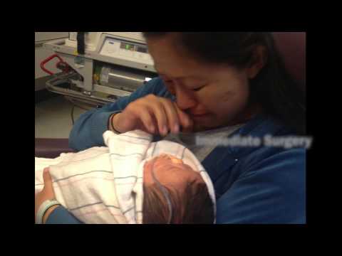 Loberg 5x Ferrari Contest Final Cut