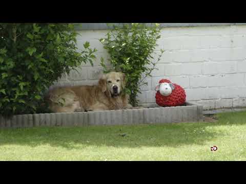 Ferienhaus Dumont YouTube-Vdeominiatur 25