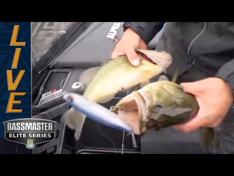 MISS RIVER: Brandon Palaniuk doubles up on topwater