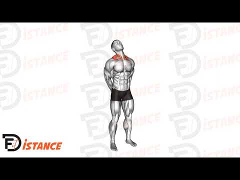 Exercice Cercles du cou (échauffement)