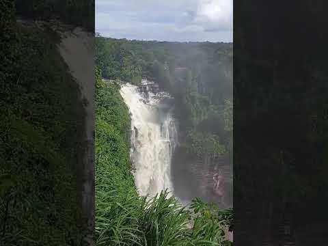 aripuana   Mato Grosso
