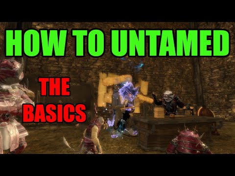 How To Untamed: The Basics - GW2 WvW Commentary