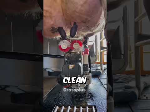 Cow milk #shorts #science