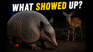 One Night Visitor Stole the Show! | Trail Cam Tuesday