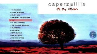 Capercaillie - You