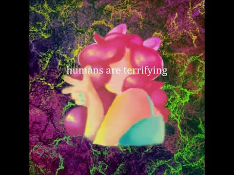 cats millionaire - humans are terrifying