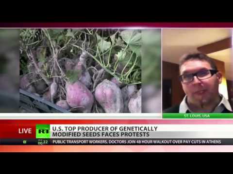 Food Fears: GM viruses & insects raise alarm as Monsanto  faces protests