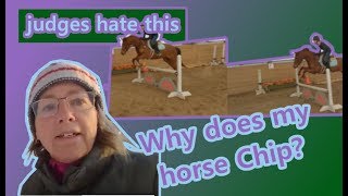 Why Does My Horse Chip at Jumps and what the judge wants to see