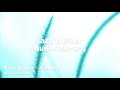 Bass Walker Film Noir Kevin MacLeod No Copyright Music Jazz Blues Music