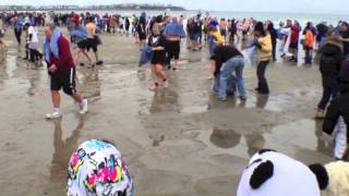 preview picture of video 'Penguin Plunge Hampton Beach NH 2013'