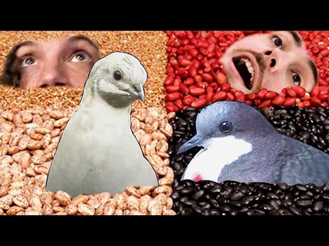 Fulfilling Edel Blau's DESTINY? | Hatoful Boyfriend FINALE