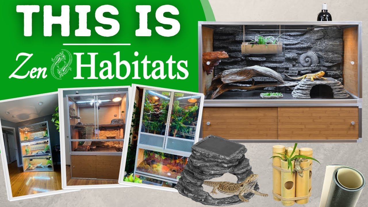 This is Zen Habitats | Reptile Enclosures, Extensions, Accessories, and MORE!