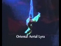 Katrina Asfardi Contortion Aerial Acts
