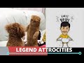 Crazy Dog With Vadivelu S Funny Dialogue Short Small