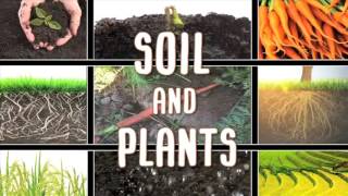 All About soil