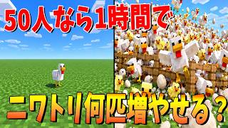 50人なら1時間でニワトリ何匹増やせるか本気で検証してみた - マインクラフト【KUN】