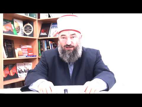 Dashi me brirë katër pëllëmbë - Hoxhë Ferid Selimi