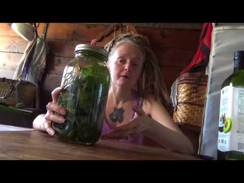 download lagu mp3 mp4 Making Comfrey Oil, download lagu Making Comfrey Oil gratis, unduh video klip Making Comfrey Oil