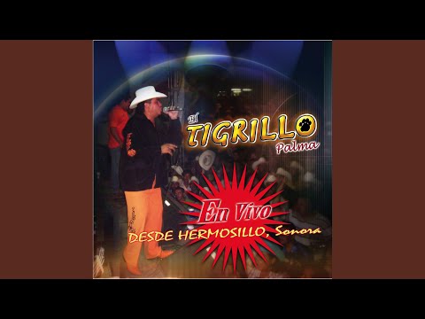 Corrido De El Chapo/Tu Nuevo Cariñito/La Botella/El Bazucaso (En Vivo)