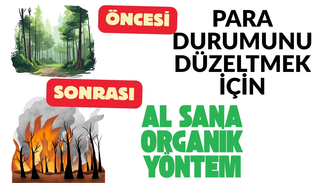 1 Saniyede Yaralanır 1 Haftada İyileşirsin Para Durumunu Düzeltmek İçin Bu Organik Yöntemi Kullan