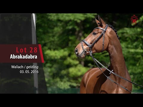 28 Abrakadabra Wallach v. All Music - Son of Cologne