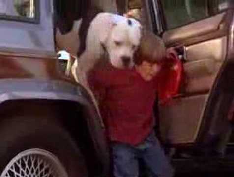 Homeward Bound Ownage