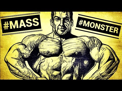 The SHADOW - IT´S ALL ABOUT HARD WORK