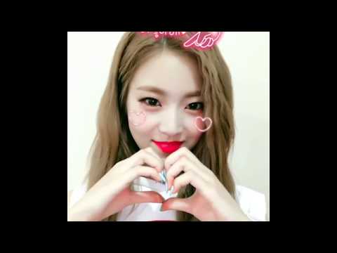 170820 D.ana  - Instagram Video