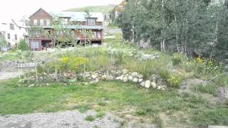 preview picture of video 'Crested Butte Real Estate - 112 Pitchfork Drive, Unit B, Mt. Crested Butte, CO 81225'