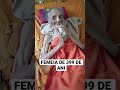 FEMEIA De 399 De ANI Shorts