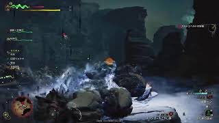 #狩【モンハンワイルズ】ベータ　ウーマー狩人配信