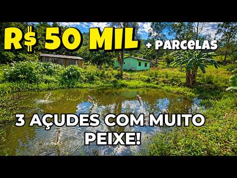 Vídeo
