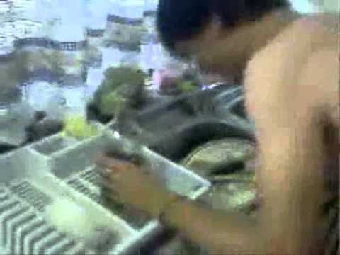 ef-el Beter Boodskap.wmv