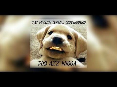Tay Mackin - Dog Azz Nigga Ft. Curnal & SouthSideSu