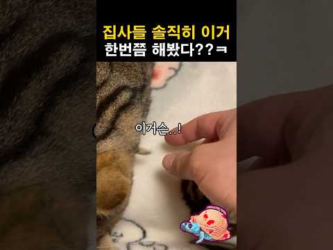 집사들 솔직히 이거 한번쯤 해봤다??ㅋㅋ