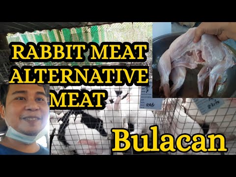 RABBIT MEAT IN THE PHILIPPINES (LBrothers Rabbitry) STA. MARIA BULACAN
