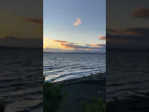 Greta Matassa’s NatureSongs