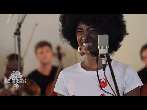 JUNGLE FEVER : Shea Rose | The Loft Sessions | Fall Collection 2013