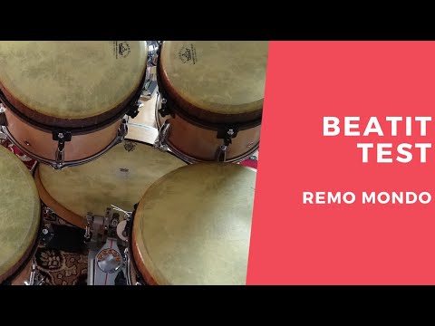 Remo Mondo Snare Drum Natural 14" x 7,5" RARE Acousticon image 16